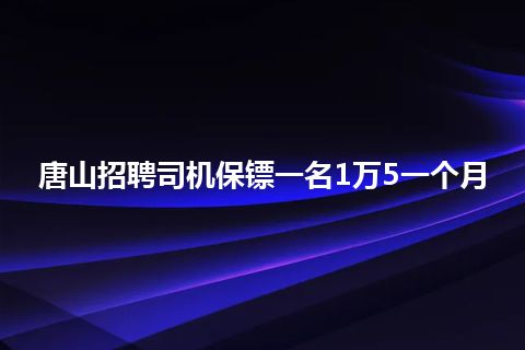 唐山招聘司机保镖一名1万5一个月